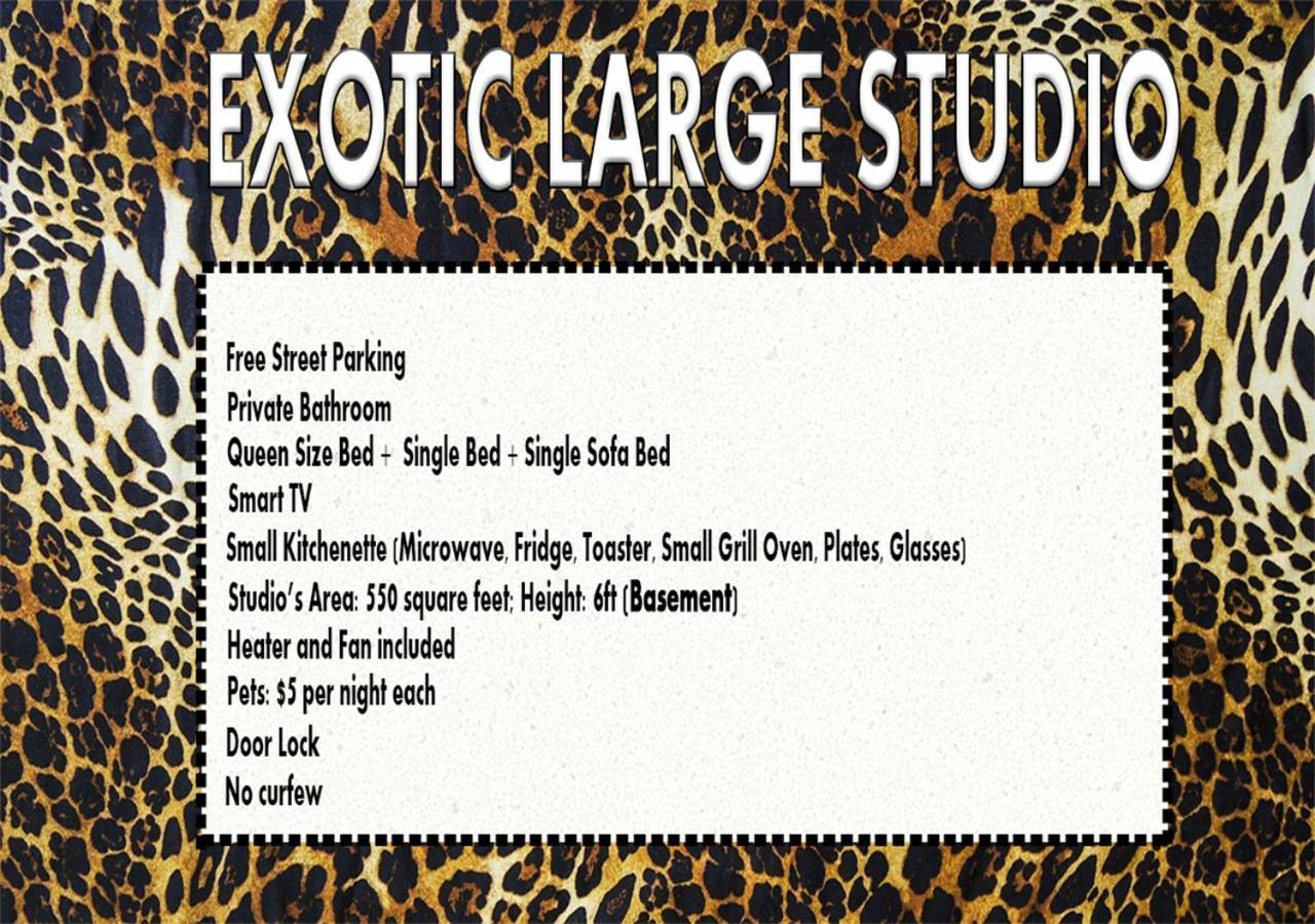 Exotic Large Basement Studio Hotel Montréal Buitenkant foto
